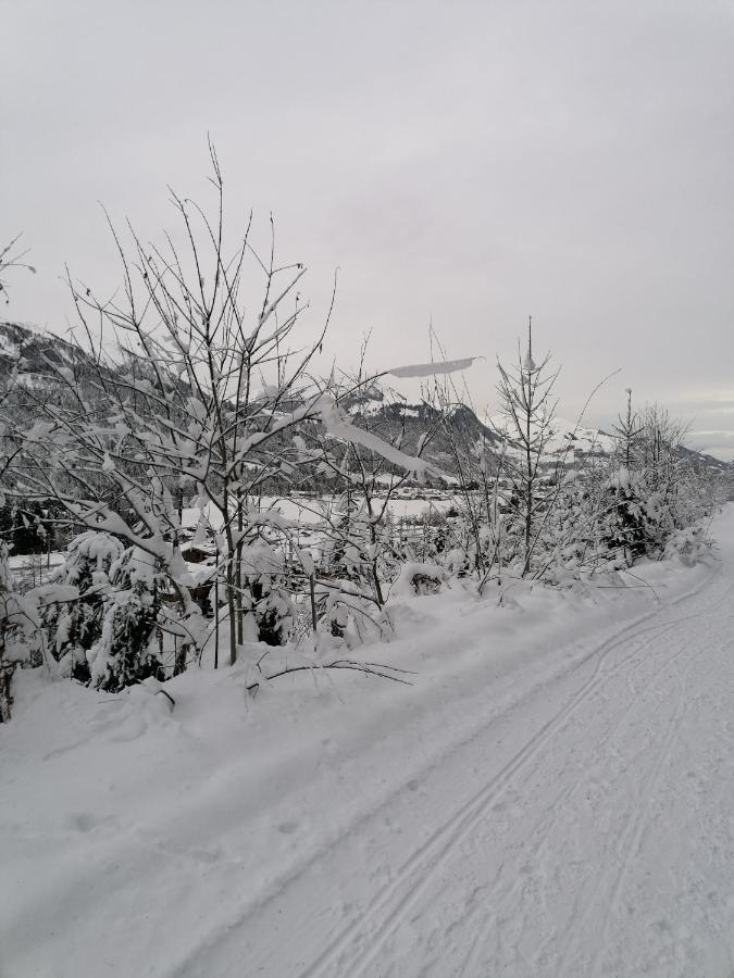 Ferienwohnungen Vordergriess Hochfilzen Exterior foto