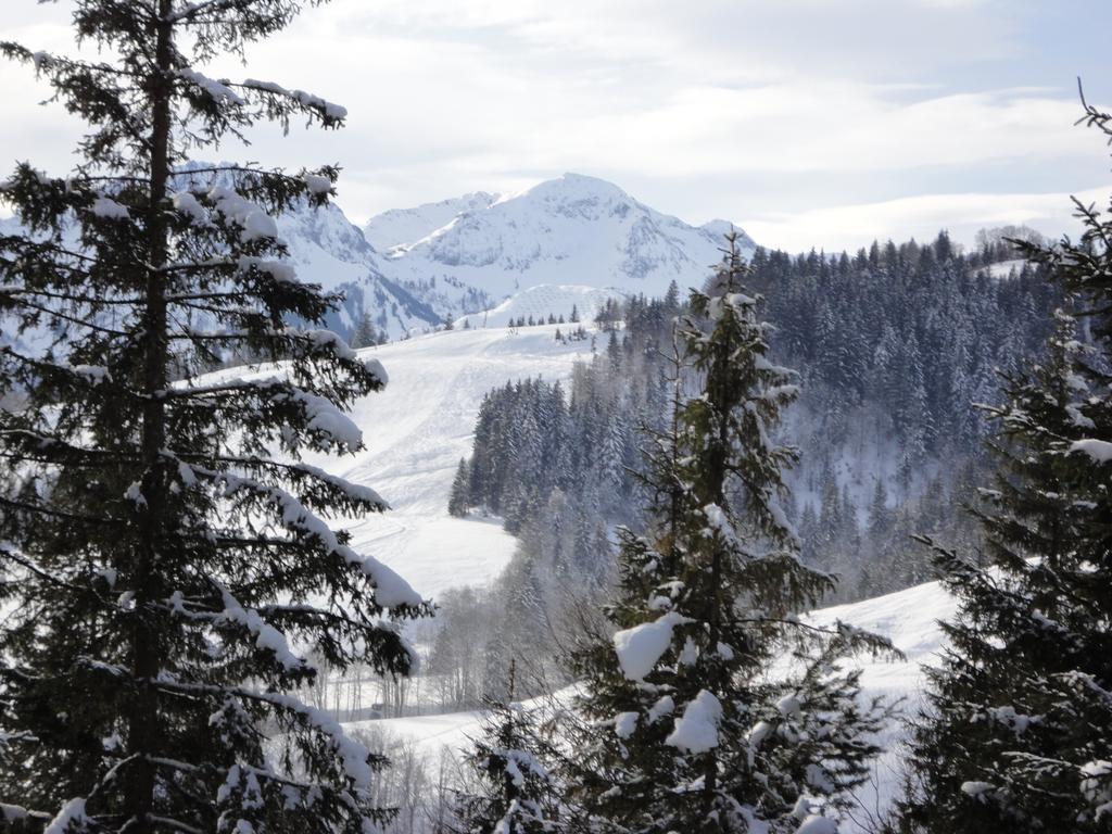 Ferienwohnungen Vordergriess Hochfilzen Exterior foto