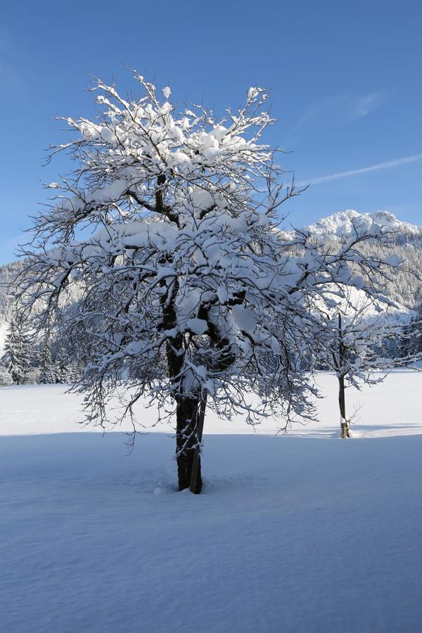 Ferienwohnungen Vordergriess Hochfilzen Exterior foto