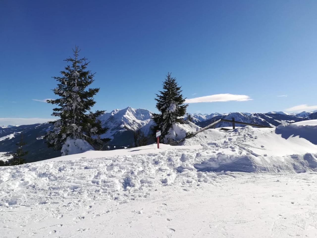 Ferienwohnungen Vordergriess Hochfilzen Exterior foto